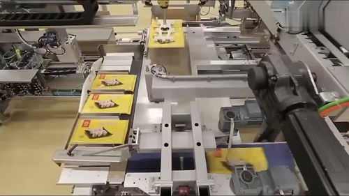 中國(guó)機(jī)械全自動(dòng)餃子生產(chǎn)線,全機(jī)械化操作,整個(gè)工廠看不到一個(gè)人